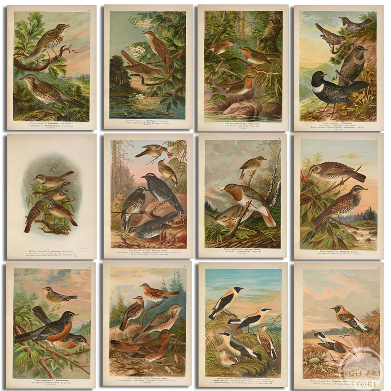 

Chinese Style Vintage Flower and Bird Plant Canvas Painting Modern for Living Room Home Decor Animals Poster Art Wall Pictures