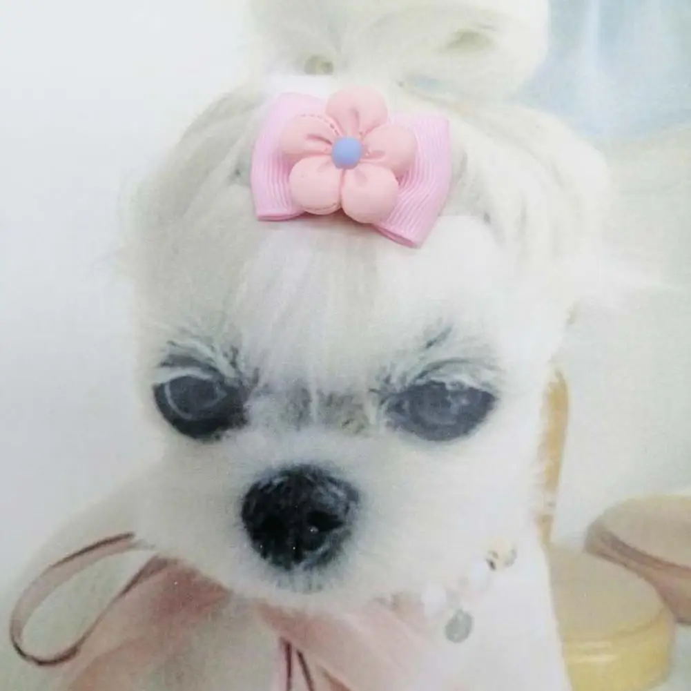 

Симпатичная 50 шт./компл. изящная Блестящая лента для волос с бантом, легкая повязка для волос для домашних животных, креативная для повседне...