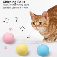 cat training toy interactive ball catnip cat training toy pet playing ball pet squeaky supplies products new toy for cats kitten