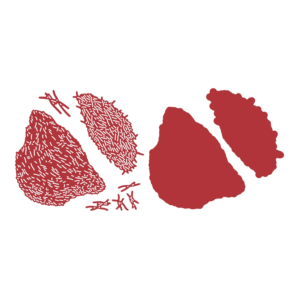 

Птичье гнездо, металлическая высечка, скрапбукинг, ремесленный шаблон, вырезанные штампы, трафареты, Новое поступление 2022