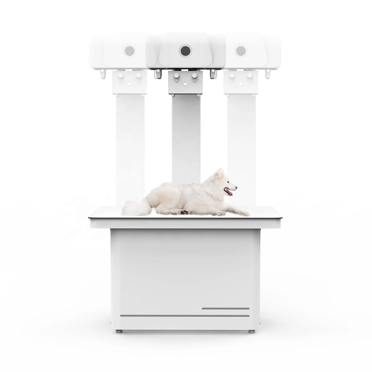 Ветеринарная цифровая рентгенография рентгеновский аппарат цена ветеринарная