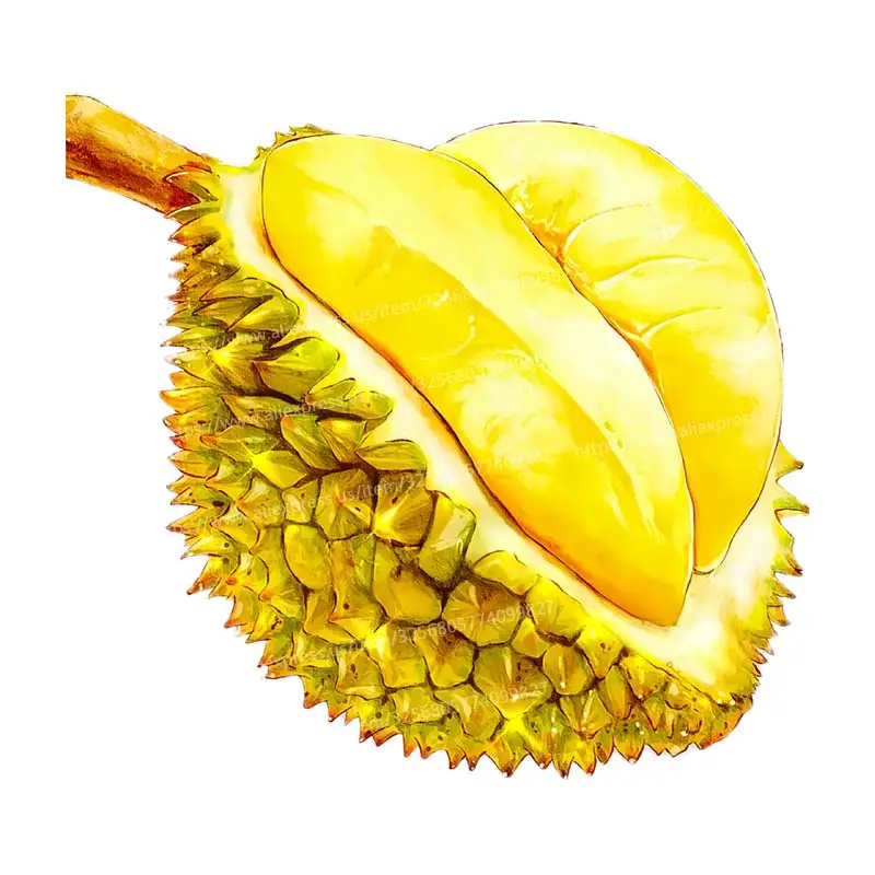 

Наклейки для стен Fruit Stickers M1061