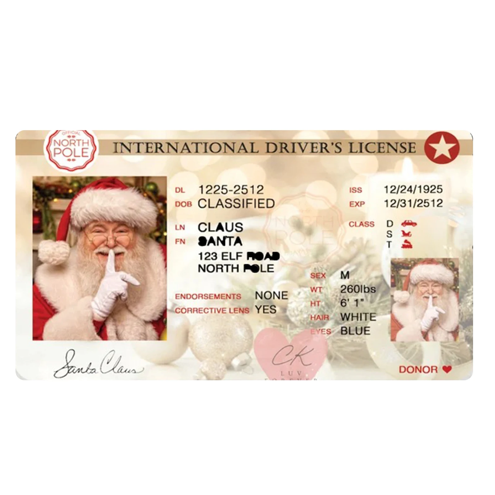 

Unique Christmas Santa License Decor Cute Delicate Home Decoration Garden Decoration for Office Kitchen Bathroom Friend