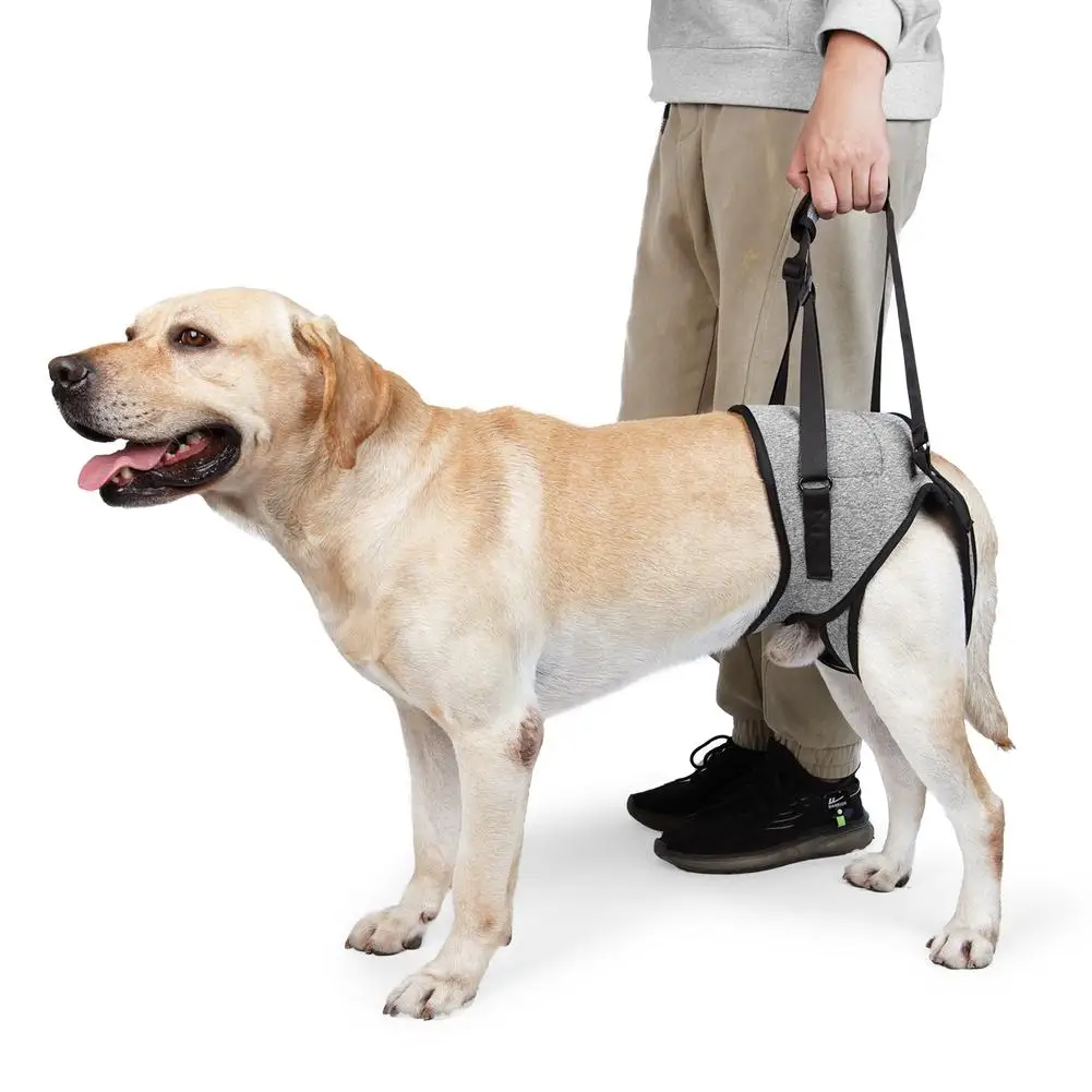 

Pet Dog Support Harness Leg Support Rear Lifting Sling Aid With Handle For Elderly Disabled Injured Dogs Drop Shipping