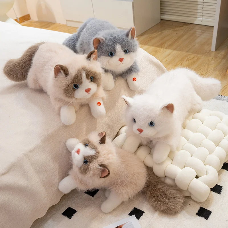 Фото Новая кукла-кошка, плюшевые игрушки, мягкие плюшевые животные, пушистая подушка с котенком, детский подарок на день рождения для девочек, украшение комнаты с домашними животными №3