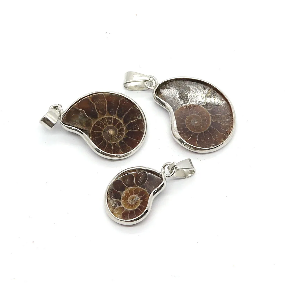 

Natural Stone Ammonite Seashell Snail Shape Pendants Ocean Conch Shell Animal Charms Trendy Jewelry Making DIY Necklace Gifts