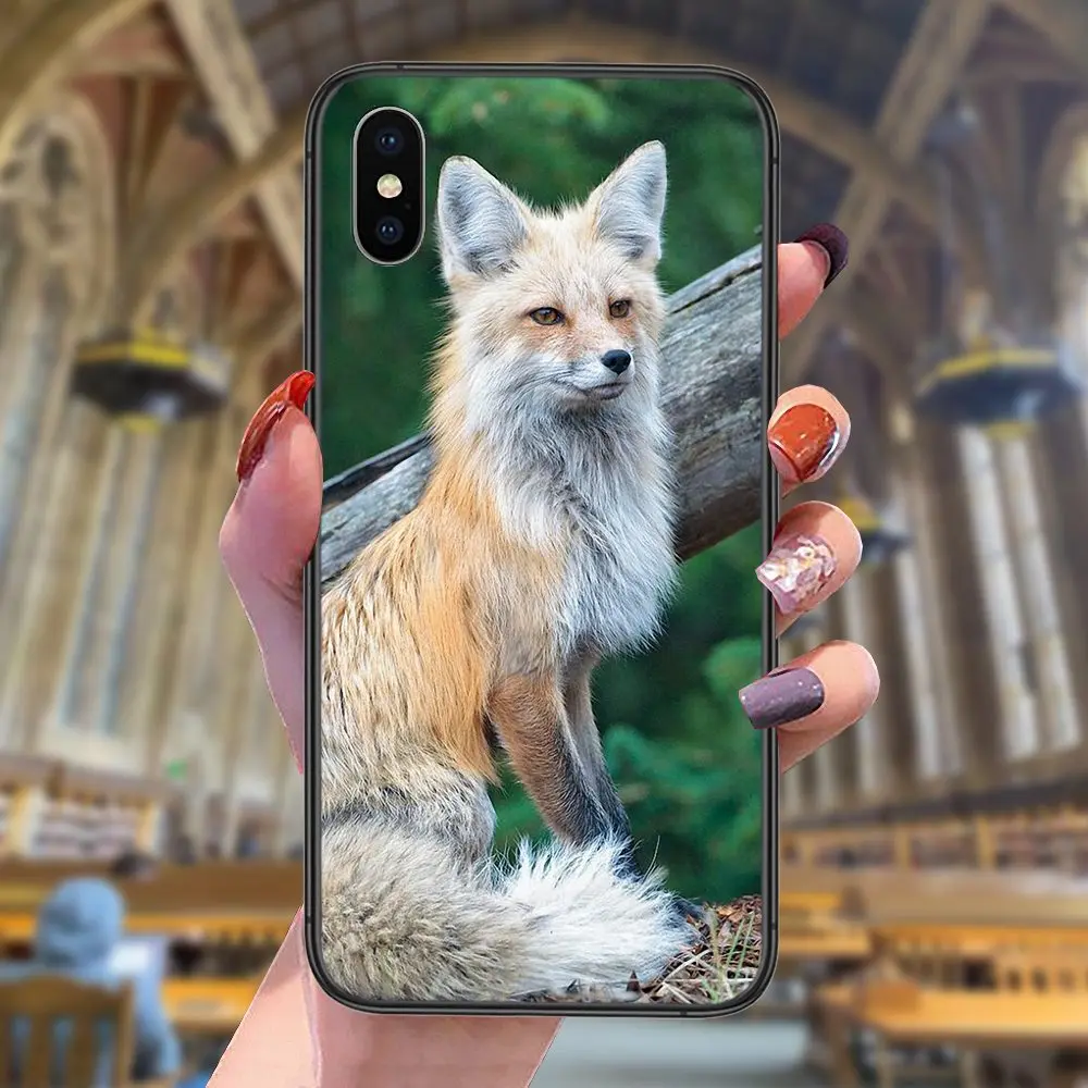 Леди для Galaxy M11 M12 M20 M20S M21 M21S M30 M30S M31 M32 M42 M51 M52 M60S M80S 5G Прим Красивая Красная Лиса Черный Корпус TPU на.