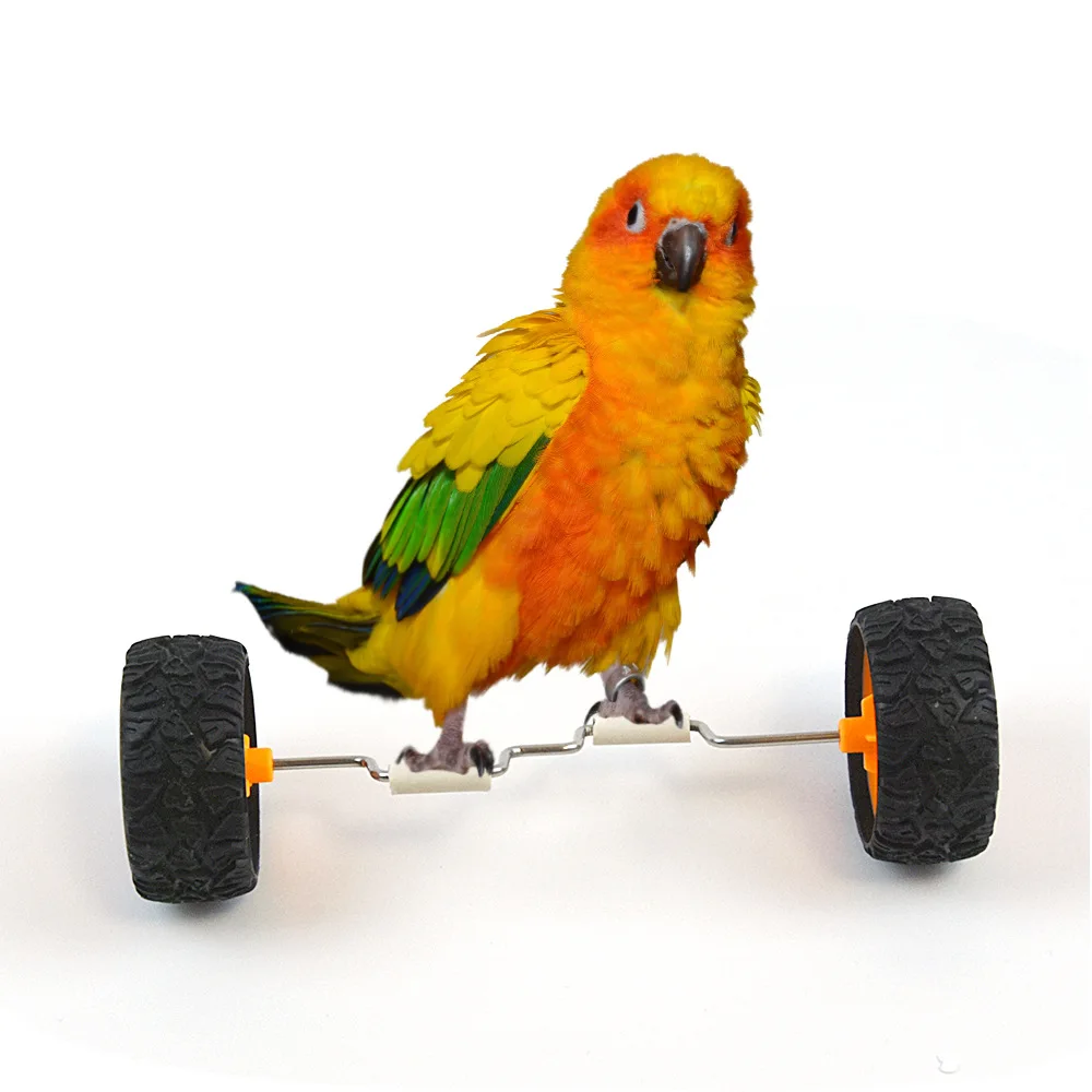 Parrot Training Balancing Bike Toy Interactive Row Roller Bird Cage Cockatiels Birds Sports Supplies