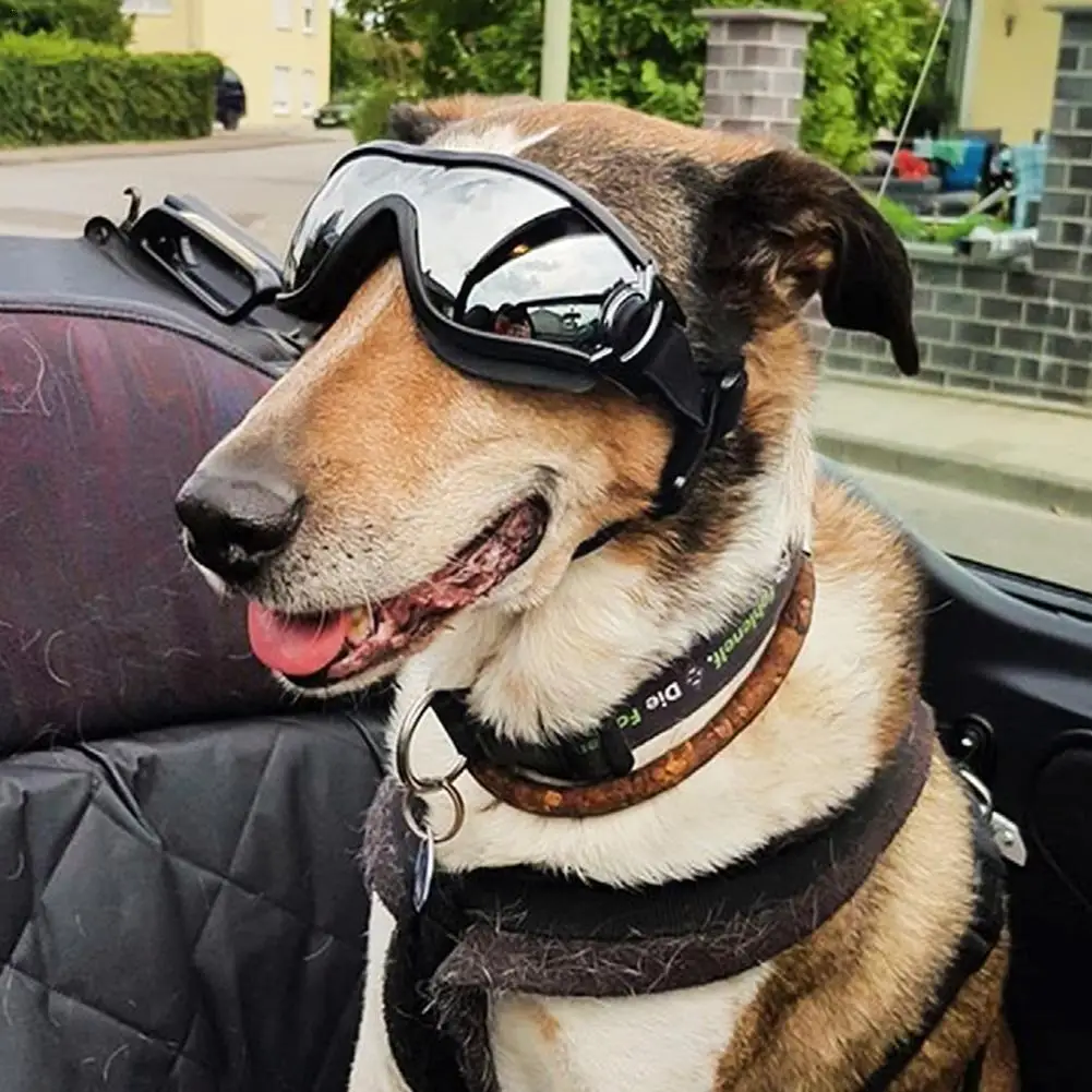 

Pet Dog Goggles Glasses Anti-uv Glasses Adjustable Pet Goggles For Dogs Eye Wear Pet Dog Supplies Glas J5b4