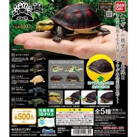 bandai gashapon capsule toy japan genuine tortoise turtle malayan box turtle chelydra model gifts simulation animal