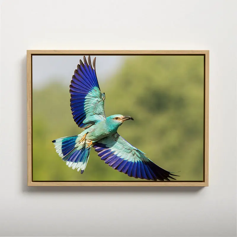 

DUATNS Birds Canvas Painting Wall Decaration Decorative Paintings Home Decoration Accessories With Frame Interior Paintings