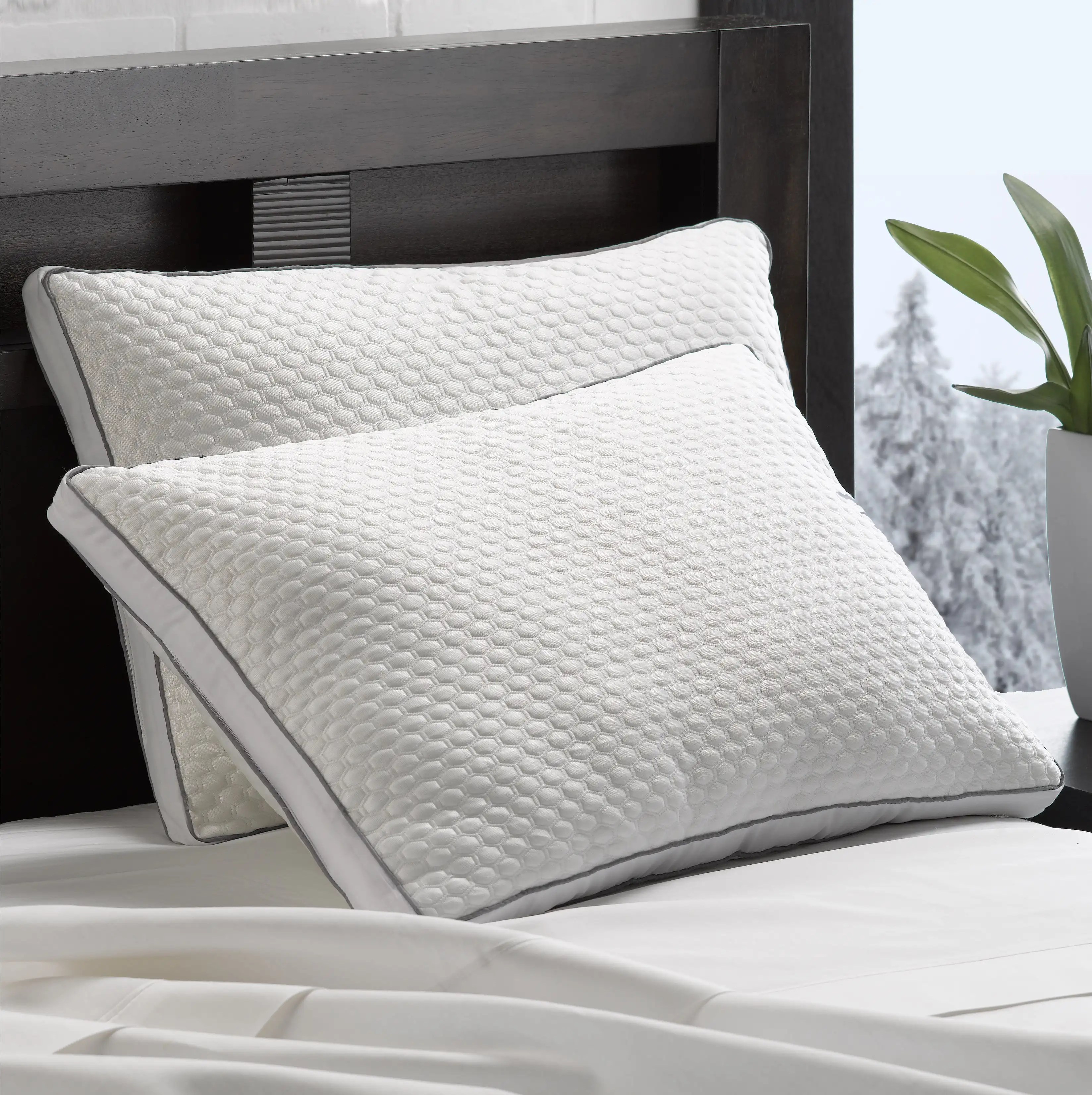

Подушка Acrtic Chill Medium Jumbo, охлаждающая ткань (2 шт.)