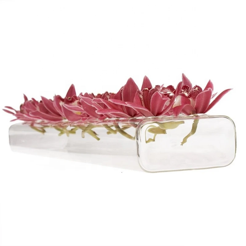 

clear hanging glass vase, clear glass terrarium