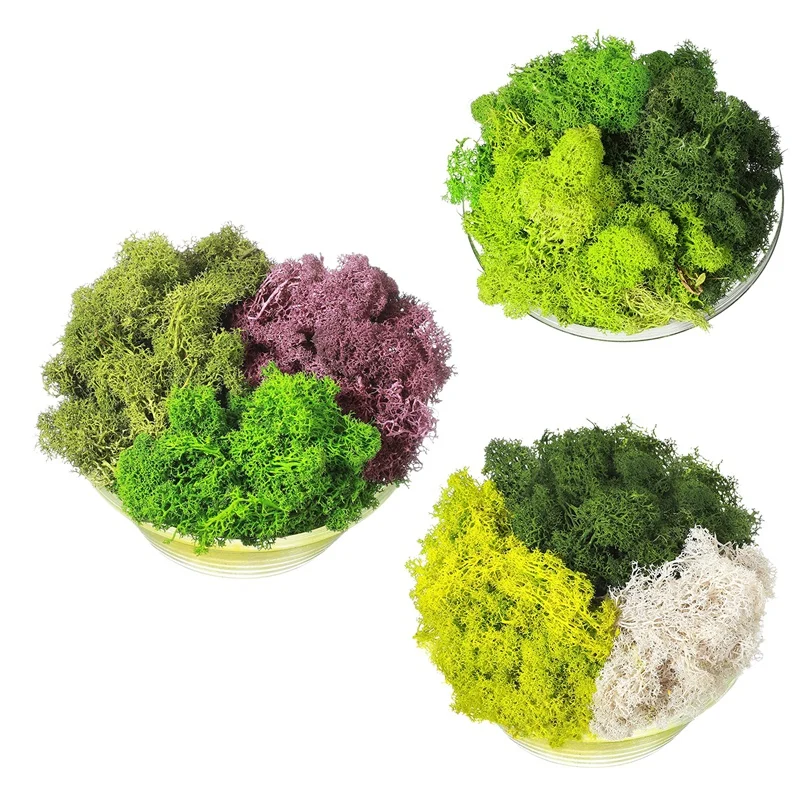 

300G Moss Green Immortal Artificial Decorative Moss Artificial 3-Color Mixed Garden Dried Flowers Forest Spanish Moss