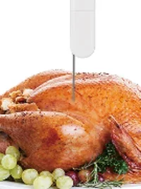 TECPEL D-175 IP65 HACCP цифровой промышленный термометр для еды мяса барбекю с быстрым