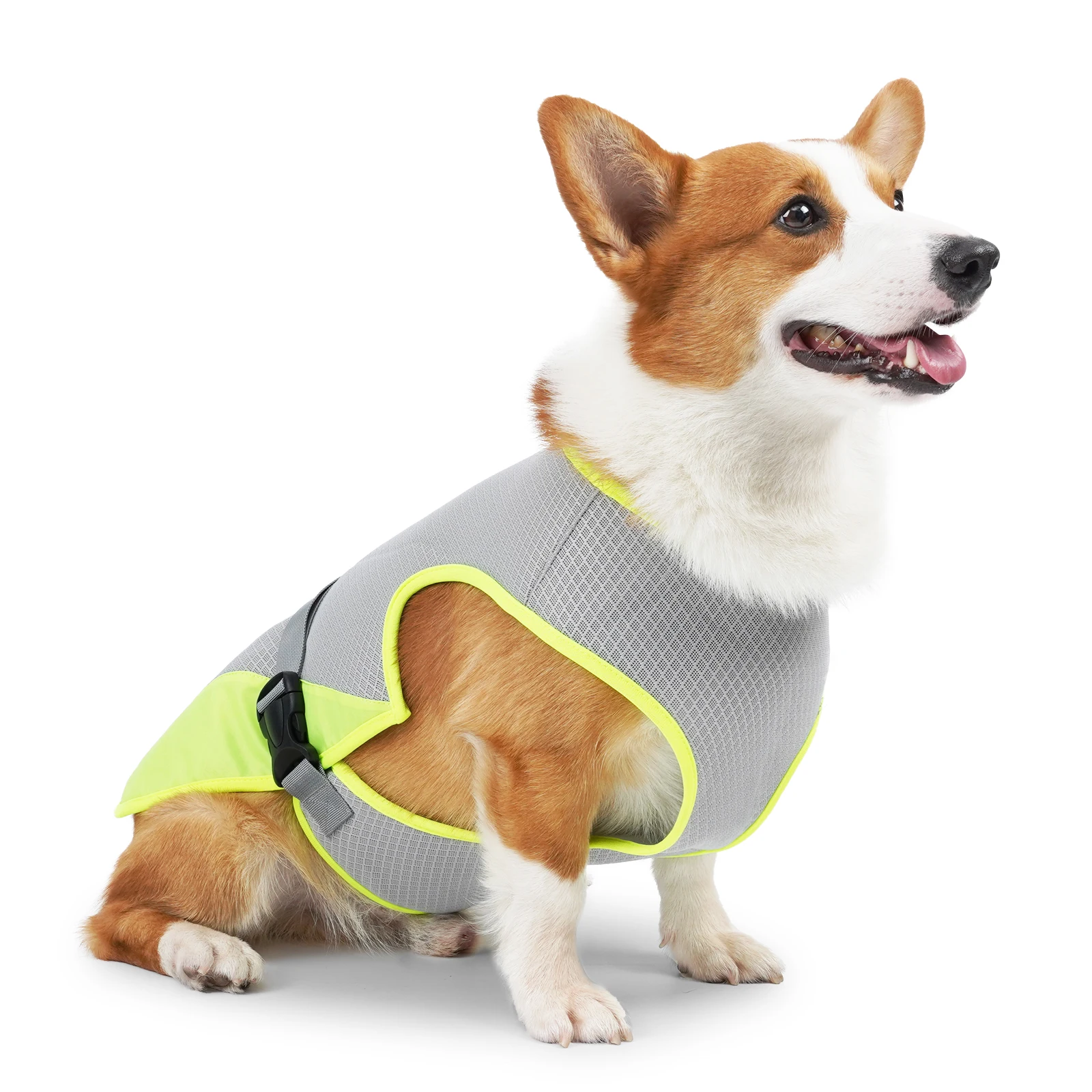 

Summer Thin Splicing Pet Vest Bichon Teddy Corgi Small and Medium-sized Dog Clothes Protective and Breathable Fashion Dog Clothe