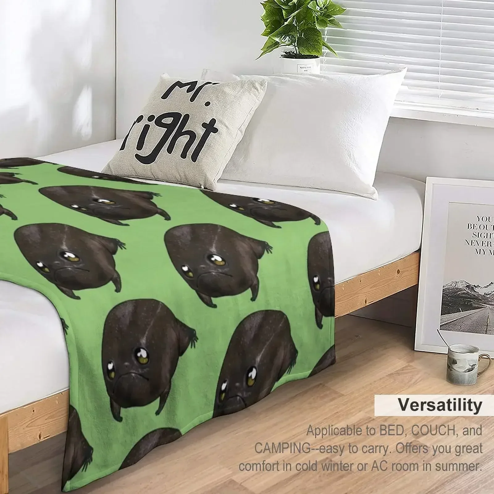 Черная дождевая лягушка (Breviceps fuscus) Пледы на заказ манга Теплые одеяла