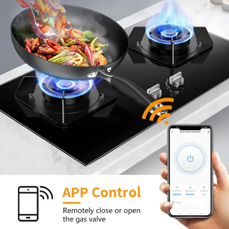 Фото Умный Wi-Fi контроллер для утечки воды с поддержкой Alexa №2