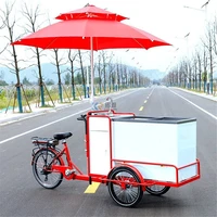 3 wheel electric pedal assist vending ice cream bike freezer tricycle fried roll ice cream drink water bike for sale