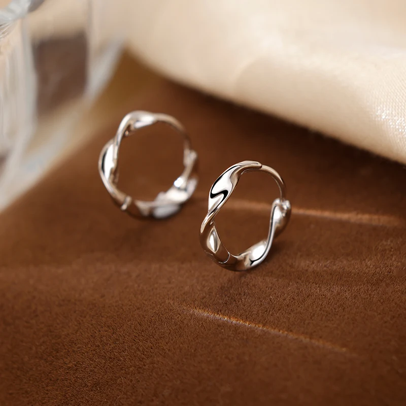 

925 Sterling Silver Earrings for Female Minority Light Luxury Irregular Earrings