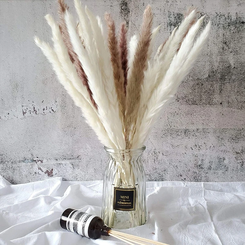 

15Pcs Small Reed Plumes Bouquet Natural Dried Flower Pampas Grass Phragmites Plants Wedding Bunch Home Garden Party Decoration
