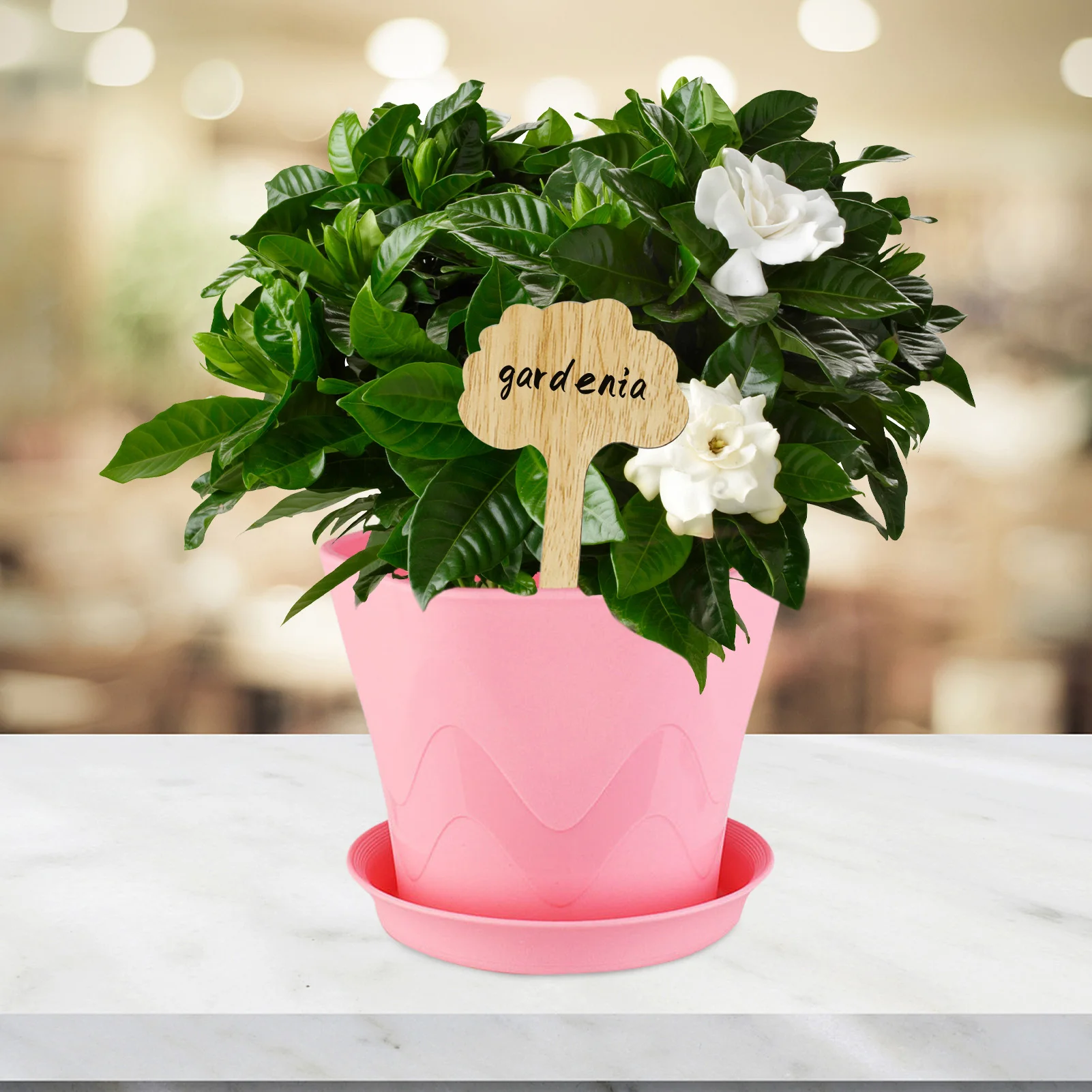 

Этикетки для растений, деревянные поделки, Цветочная вставка, знак, ярлык для растений, садовые бирки для семян, комнатных трав, цветов, овощ...