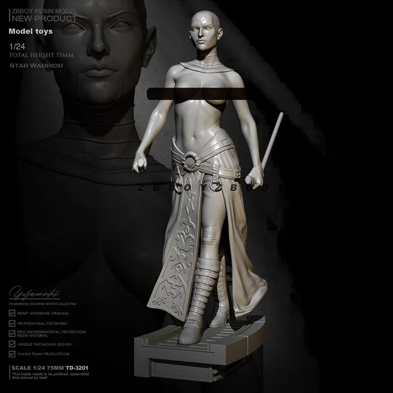 

1/24 Planet Female Warrior Resin Figure Toy Female Soldier TD-3201