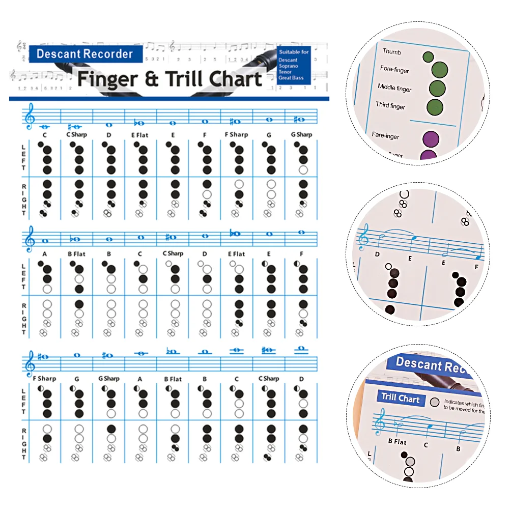 

Music Note Bass Flute Chart Chord Practicing Students Supplies Clarinet Learning Guide 157g Coated Paper Practice