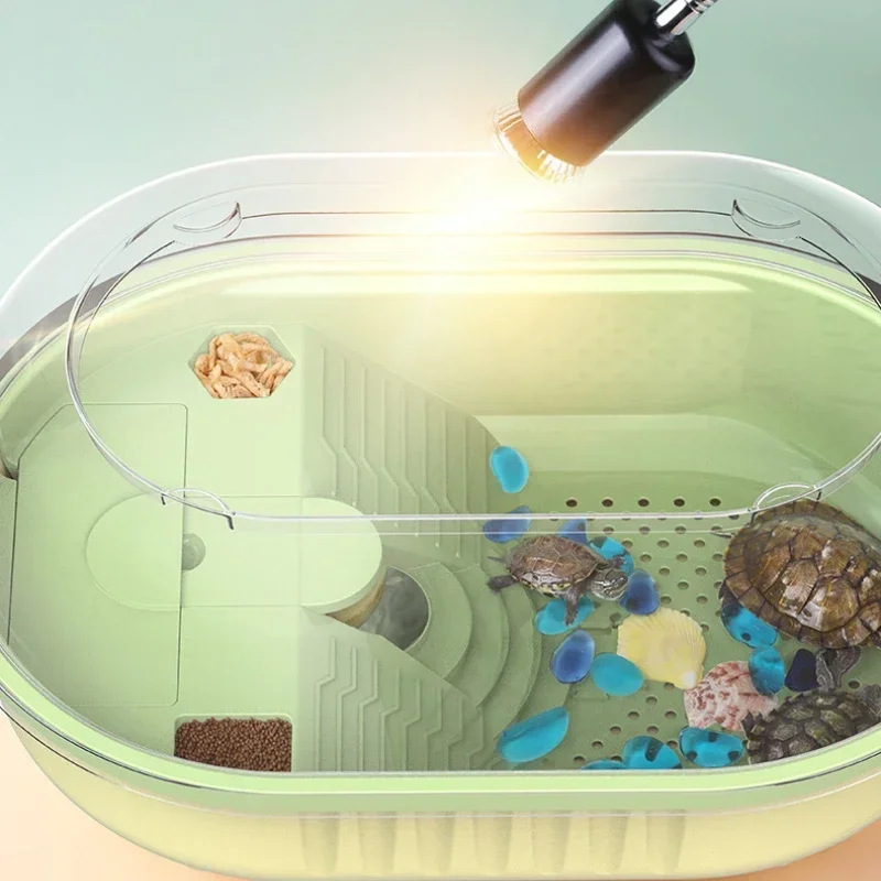 Альпинистские террариумы для домашних животных экологический резервуар