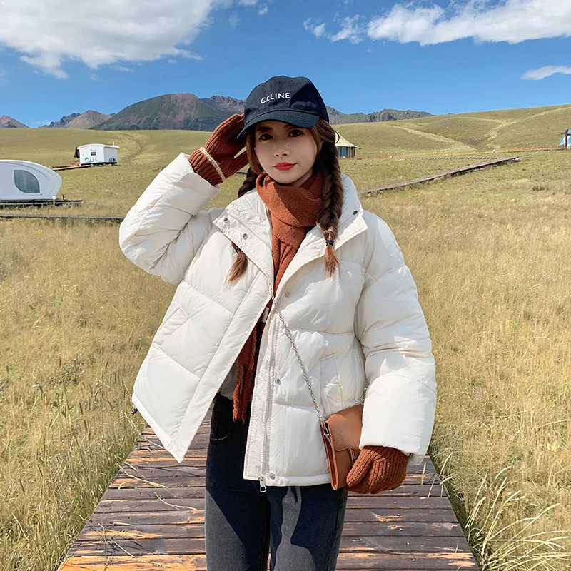 

Женские зимние черные куртки с подкладкой Y2K, одежда в стиле Харадзюку, теплые Пуховики с воротником-стойкой, корейские свободные утепленные парки, женская верхняя одежда 2212