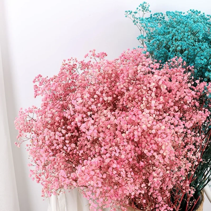 

Gypsophila Immortal Flower Dried Flower Bouquet Valentine's Day Present Ornament Gifts Adornos Para Casa Vasi Per Fiori
