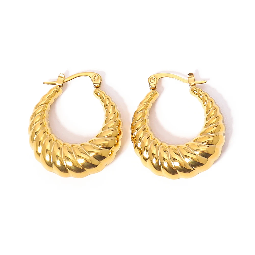 

WILD & FREE Punk Stainless Steel Hoop Earrings for Women Metal Twisted Gold Plated Waterproof Statement Jewelry