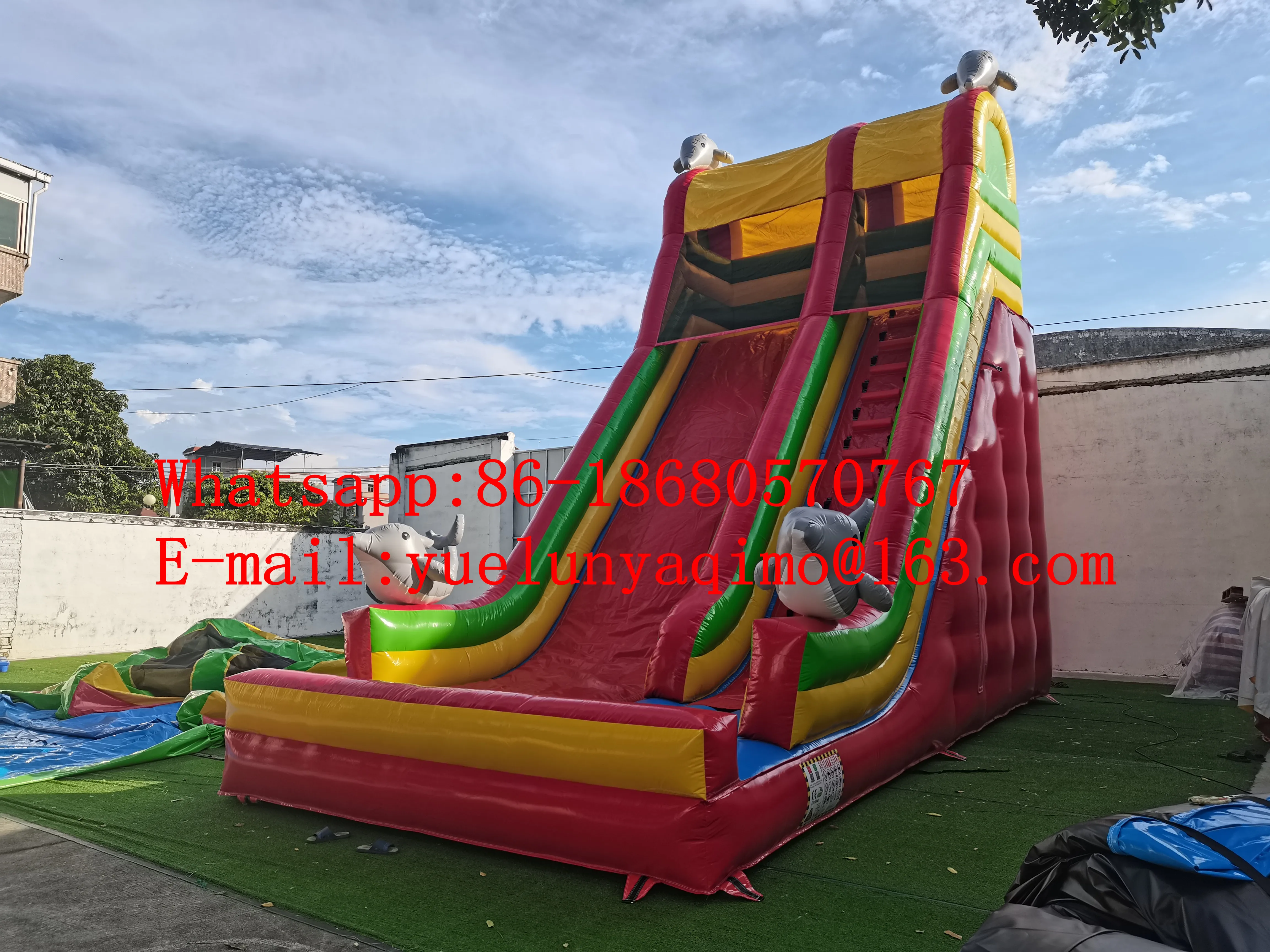 

Commercial rental large dolphin inflatable pond dry slide can customize color