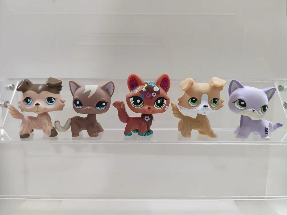 

5pcs/lot LPS Action Figure pet shop cat dog fox #893#1170#2341#272#2094 Littlest Pet Shop kid toy