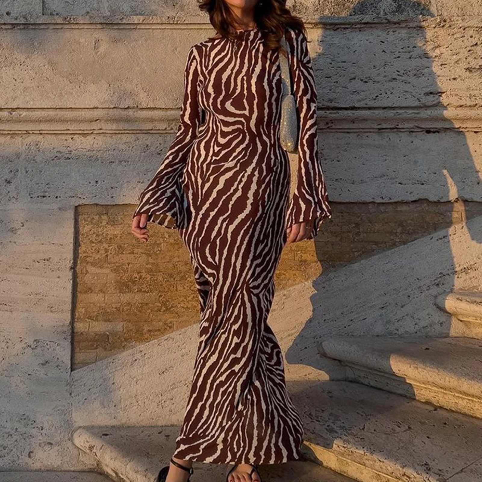 

Mesh Maxi Dress Slim Fit Ladies Tunic Brown Dress Long Sleeve Crew Neck Casual Style Zebra Stripe Vacation Outfit