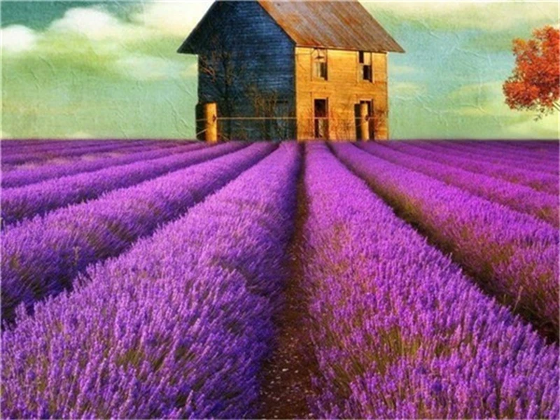 

No.51 Painting By Numbers DIY Oil Coloring Paint By Numbers Set Gift Drawing By Numbers Canvas Decor New Arrivals