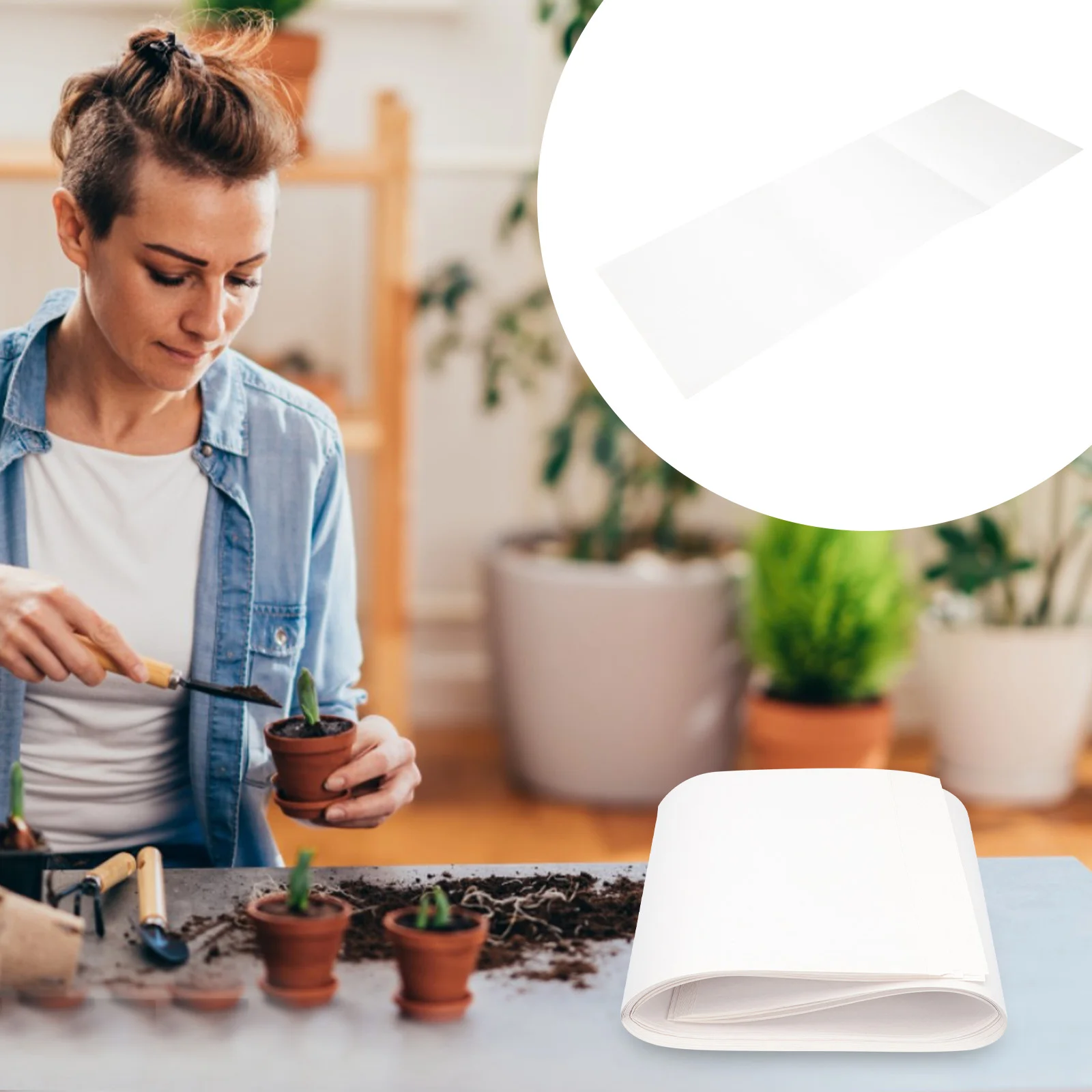 

50 Pcs Hydroponics Sprouts Sprouts Plate Nursery Germinating Accessory Suite White Safe Growing