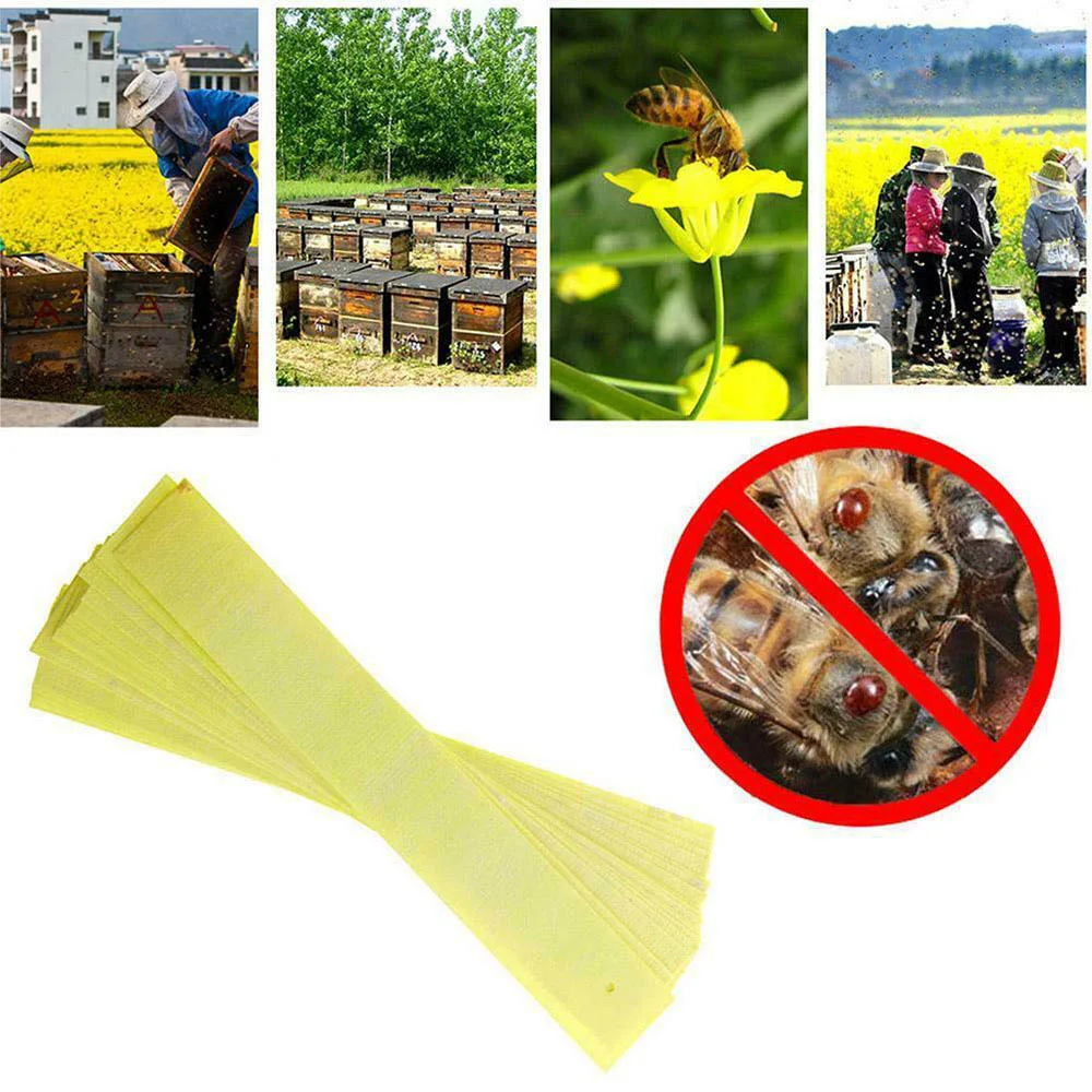 

20pcs Fluvalinate Strips Anti Insect Pest Controller Acaricide Against Strip Miticide Bee Mite Killer Beekeeping Farm Medicine