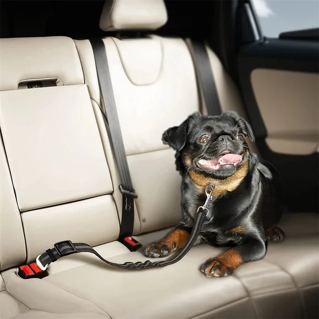 Hund Sitz Gürtel Auto Seatbelt Harness für Hunde Einstellbare Langlebige Nylon Reflektierende Bungee Stoff Leine Auto Reise Lieferungen für Pet 6