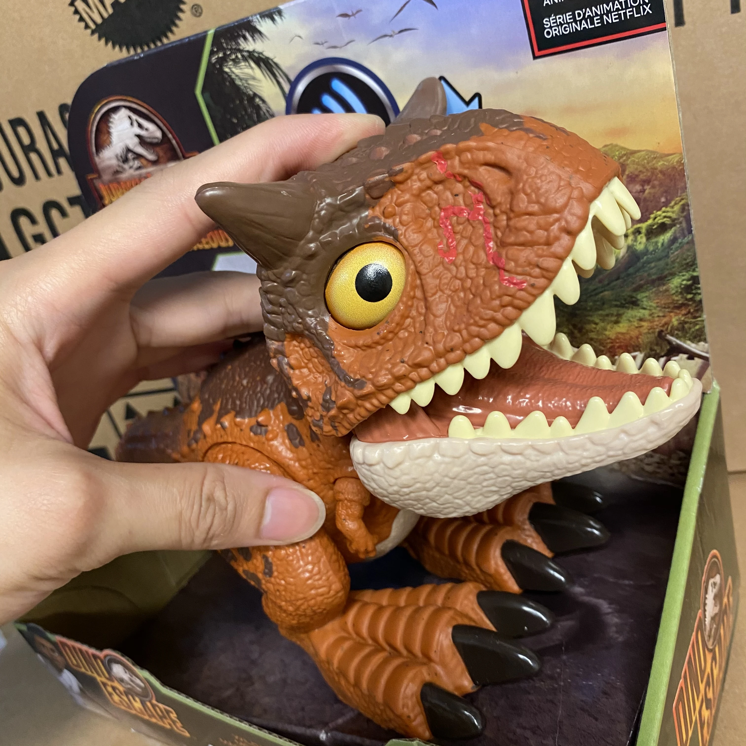 

Mattel Dinosaur Action Figure Toys Chompin’ Carnotaurus Toro Jurassic World Camp Cretaceous / Learning Toys / for Children Kids