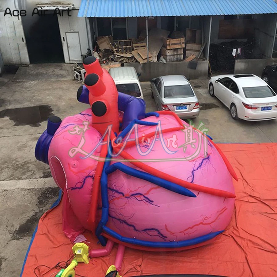 

8mLx4mW Unique Inflatable Heart Tent Airblown Heart Model For Health Fair Exhibition Made By Ace Air Art