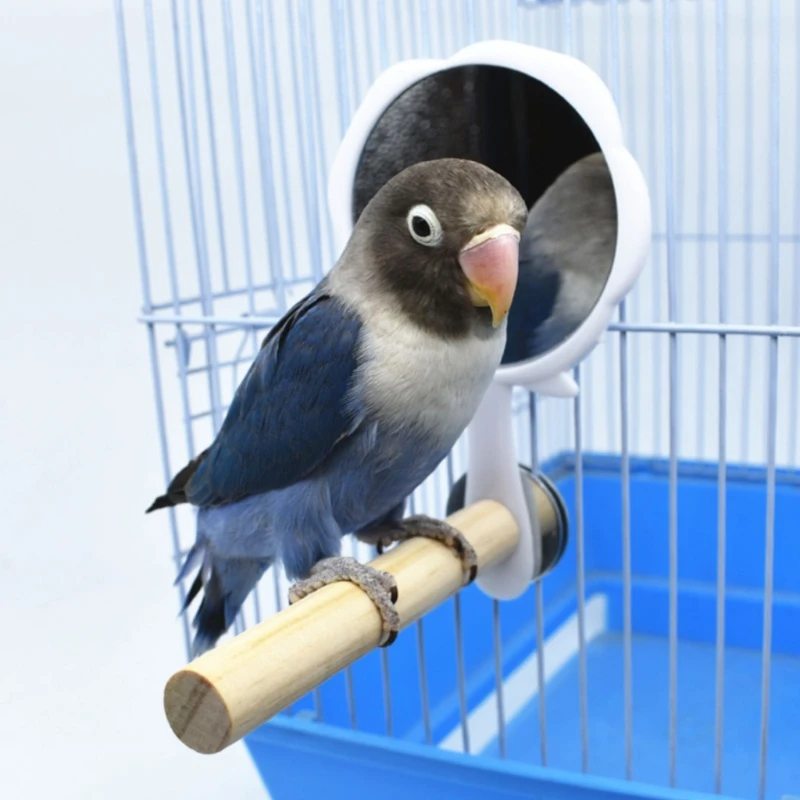 Игрушка с зеркалом в виде попугаев окуня треугольника матовая куриная подставка