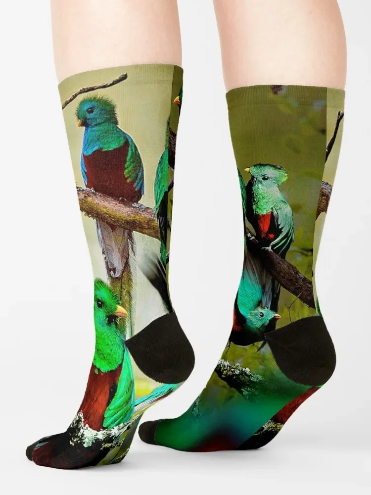 Носки для кетзал Чулки с подогревом велосипедные чулки мужские носки мужчин и