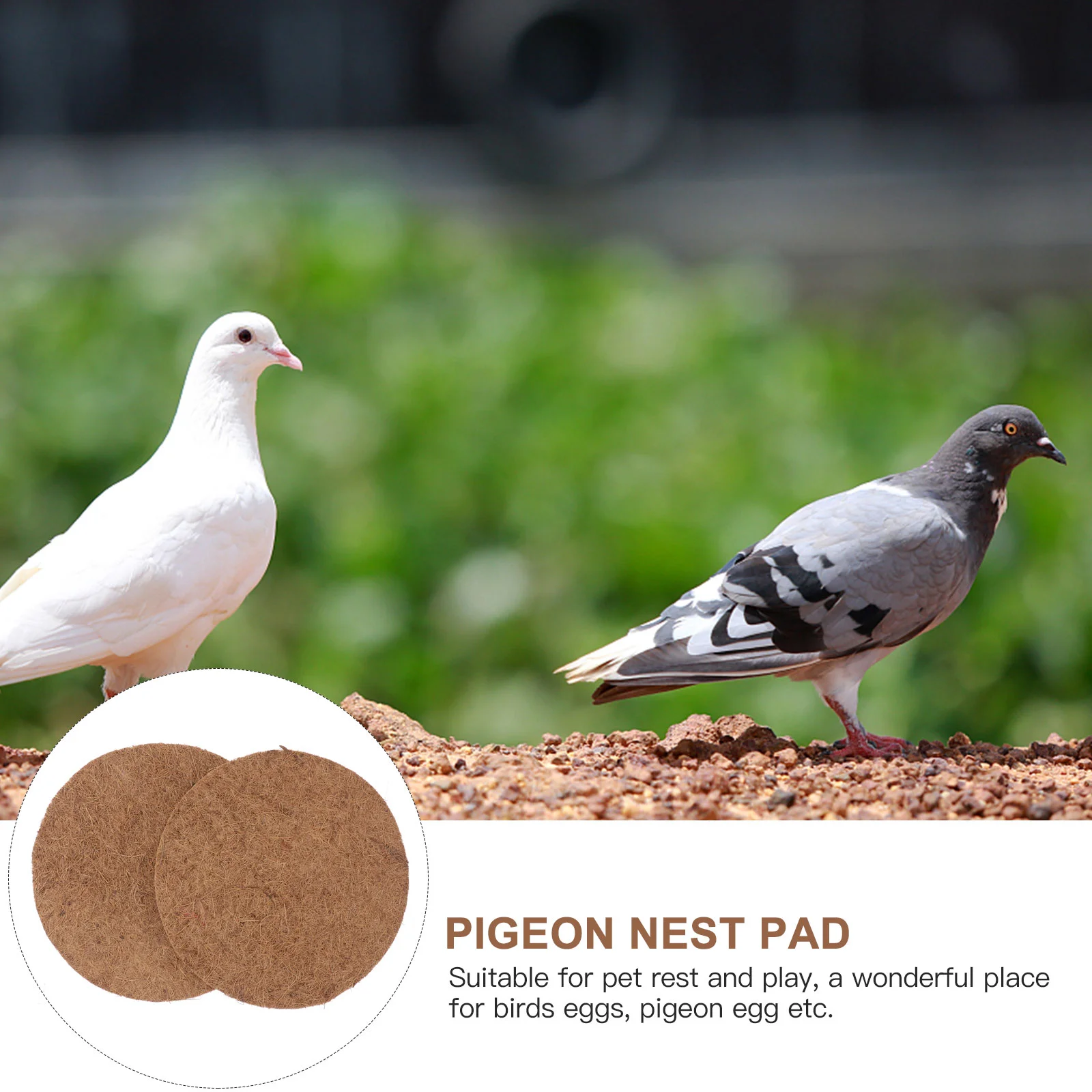 

Pigeon Nesting Mat Bird Pad Pads Egg Breeding Chicken Eggs Palm Box Coop Supplies Pigeons Accessories Bowl Fiber Substrate Mats