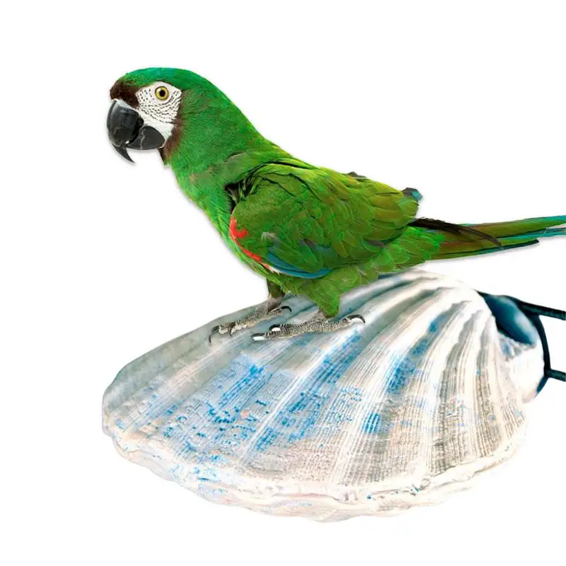 

Детская подставка для птиц, металлическая, в форме ракушки