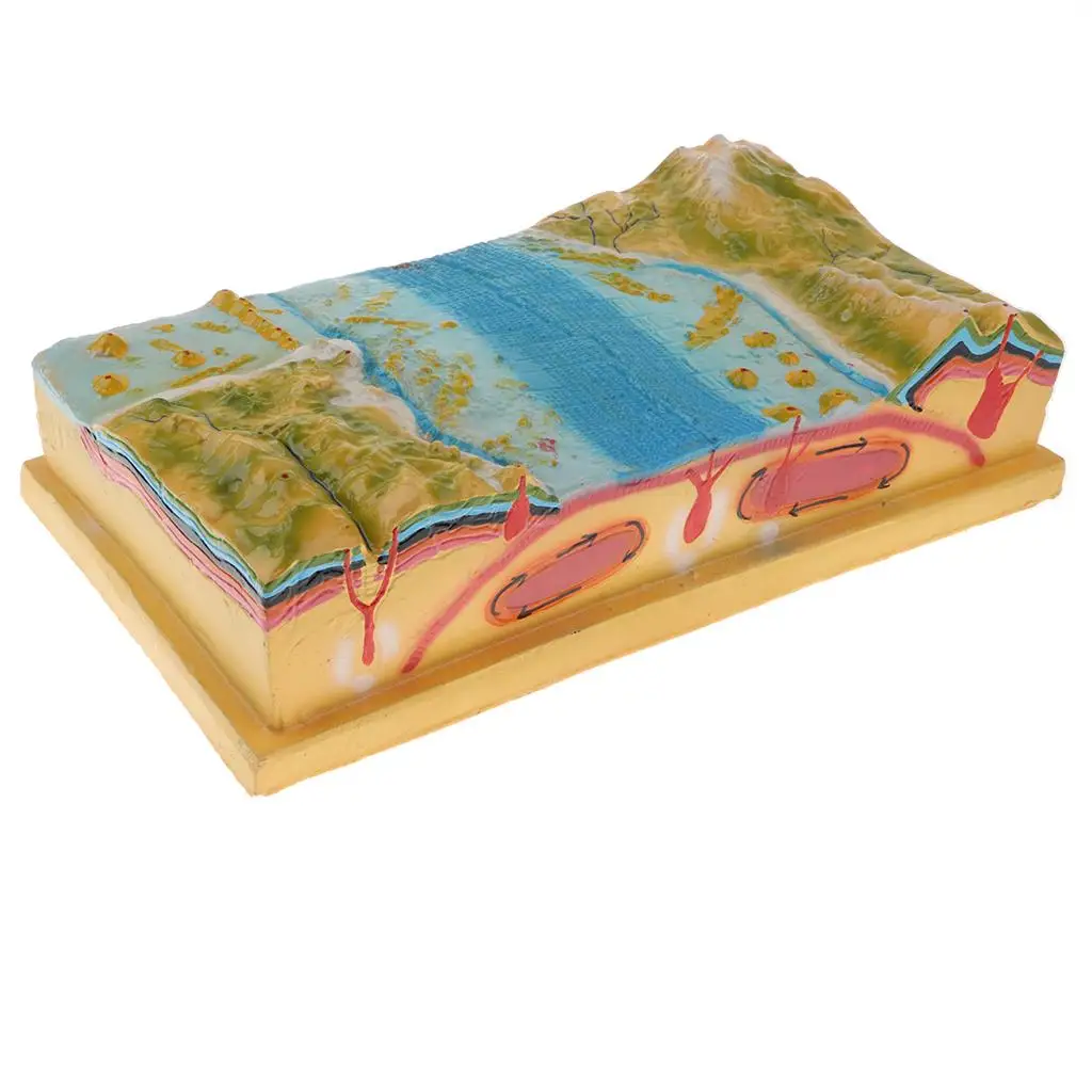 

Geographical Plate Tectonics Terrain Earth Crust Model 3D Geographical Model For