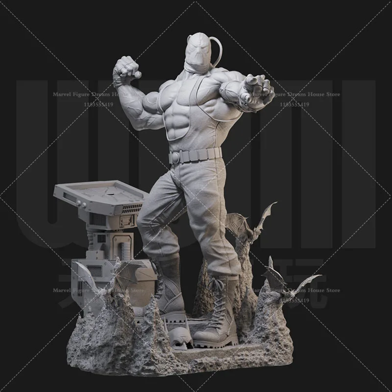 Hot Toys 1/24 1/18 DC Уничтожитель Байн