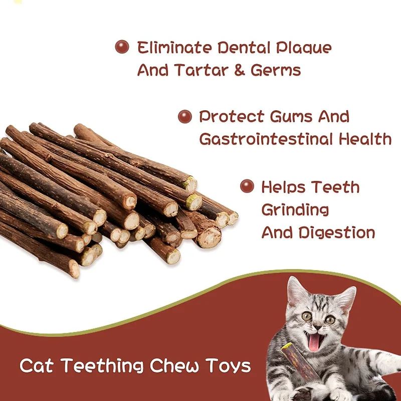 

Natural Pet Cat Molar Toothpaste Stick Actinidia Fruit Silvervine Cat Snacks Sticks Pet Cleaning Teeth