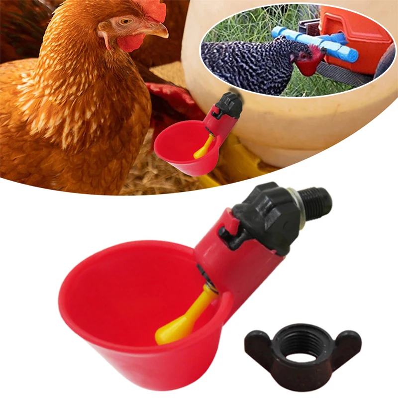 

Hen Water Bowl Water Bowl Chicken Drinker Cup Bird Feeder Farm Poultry Feeder Easy To Install With Nipple Durable Automatic