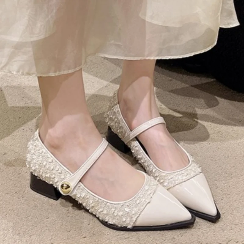 Женские Дизайнерские Туфли Мэри Джейн модные туфли с острым носком на толстом